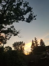 Low angle view of silhouette trees against sky during sunset