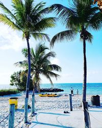 Palm tree by swimming pool against sky