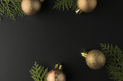 Midsection of man holding fruit against black background