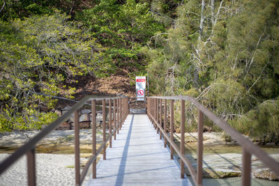 Footbridge amidst trees in forest