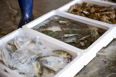 High angle view of food for sale