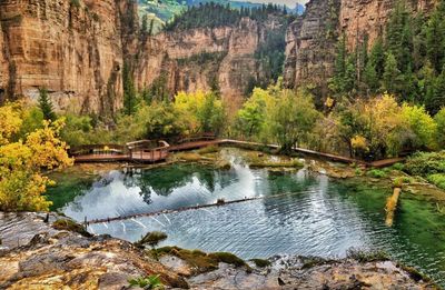 View of lake in forest