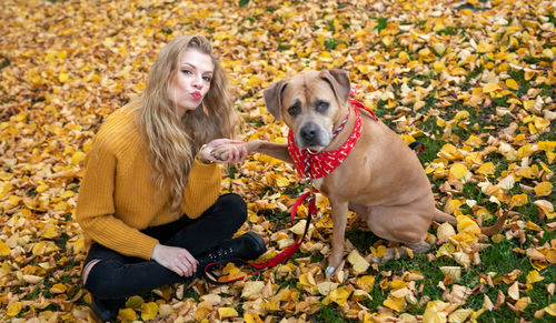 View of a dog sitting on autumn leaves