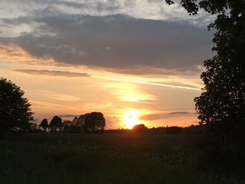 Silhouette trees on field against sky at sunset