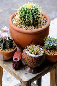 High angle view of potted plants on table