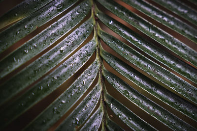 Full frame shot of metallic structure