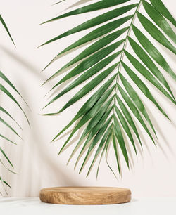 Stage for displaying products, cosmetics with a round wooden podium and a green palm leaf. shadow 