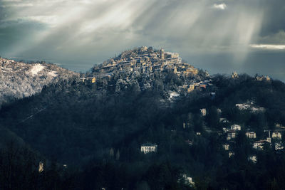 High angle view of townscape by tree against sky