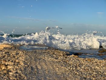 Scenic view of sea shore against sky