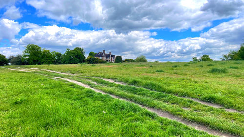 Scenic view of field against sky