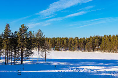 Scenic view of snow covered field against sky