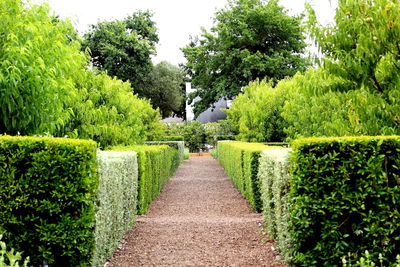 Scenic view of field