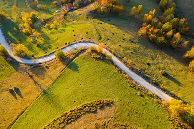 Idyllic drone image of autumn countryside hills. aerial landscape. transylvania, romania