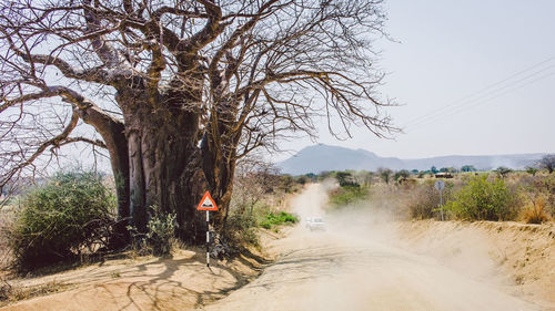 Road amidst bare trees against clear sky