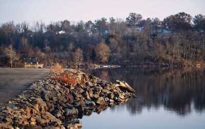 Scenic view of lake by trees against sky