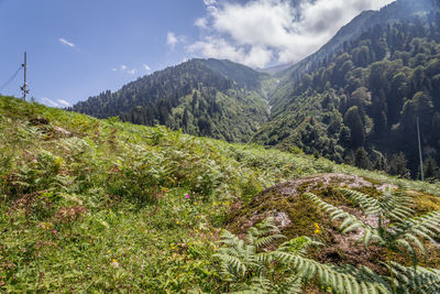 Scenic view of mountains against sky