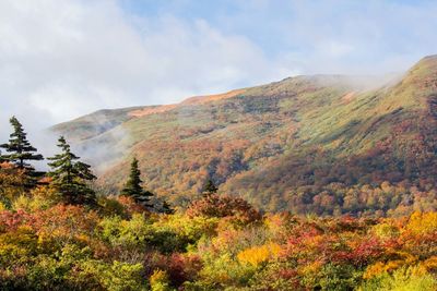 Scenic view of landscape against cloudy sky