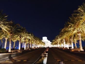 Road by palm trees against sky in city at night