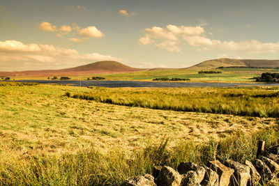 View of fields against mountain range