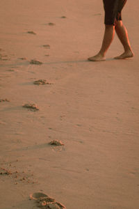 Low section of woman walking on beach