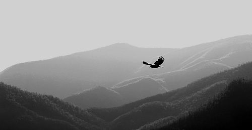 Silhouette of person skiing on mountain against sky