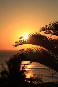 Silhouette palm tree by sea against romantic sky at sunset