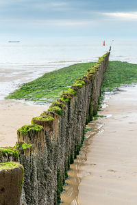 Wooden posts on beach against sky