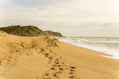 Scenic view of beach against sky