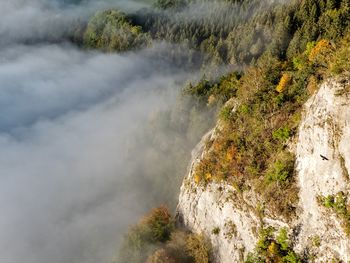 High angle view of plants growing by mountain