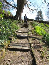 Rear view of man standing on staircase
