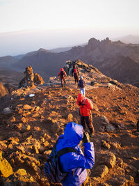 Person standing on landscape