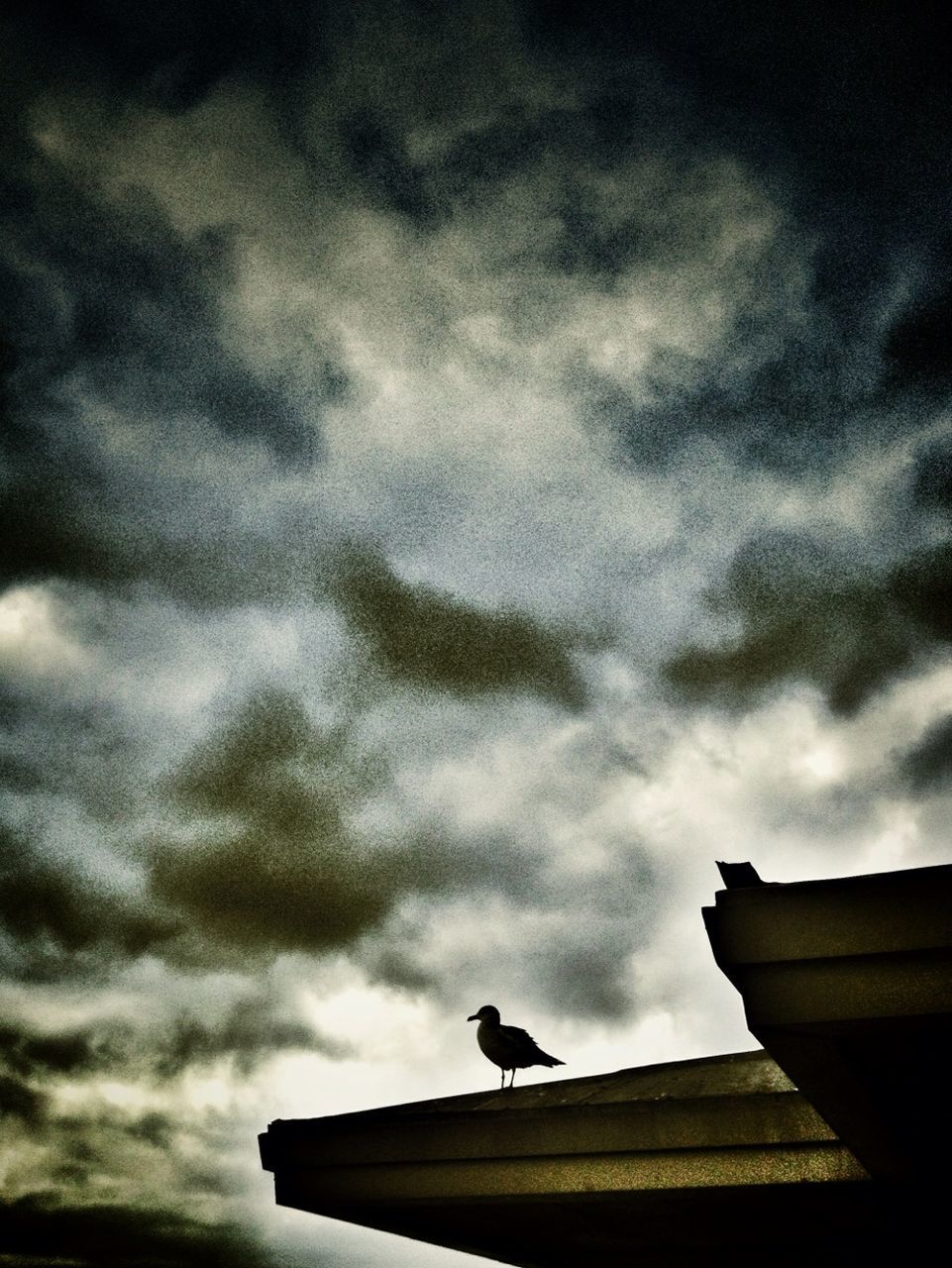 low angle view, sky, cloud - sky, cloudy, built structure, building exterior, architecture, cloud, roof, high section, bird, overcast, weather, silhouette, outdoors, animal themes, nature, no people, house, cloudscape