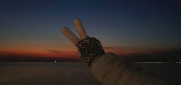 Person hand against sky during sunset