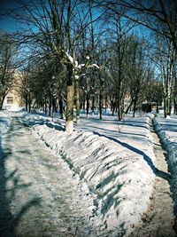 Bare trees on snow covered landscape