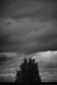 Low angle view of tree against cloudy sky