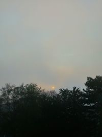 Low angle view of trees against sky during sunset