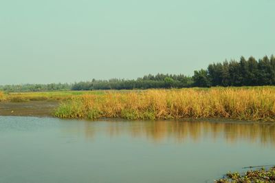 Scenic view of lake against clear sky