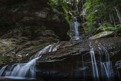 Scenic view of waterfall in forest