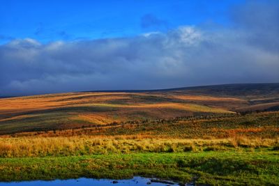 Wild view, nature, mother earth 