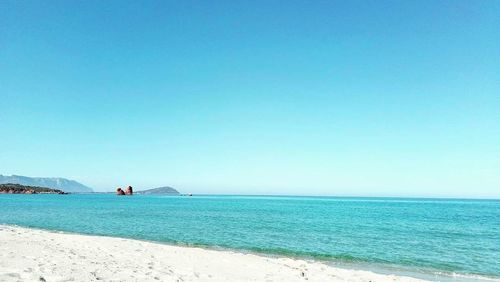 Scenic view of beach