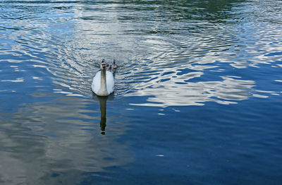 View of rippled water