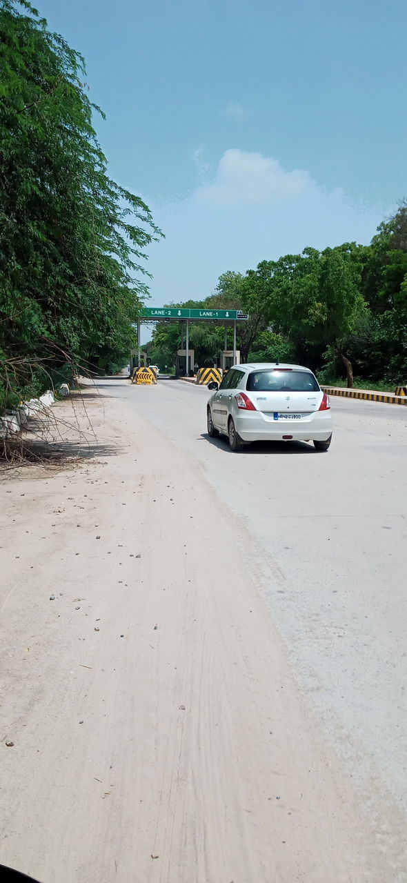 CARS ON ROAD AGAINST TREES