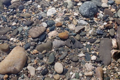 High angle view of stones on beach