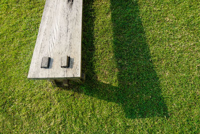 High angle view of plant on field