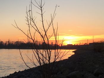 Silhouette trees by lake against sky during sunset