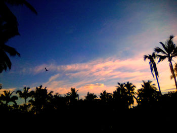 Low angle view of silhouette trees against sky during sunset