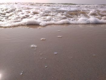 Surface level of wet sand on beach