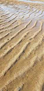 High angle view of sandy beach