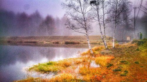 Reflection of trees in lake