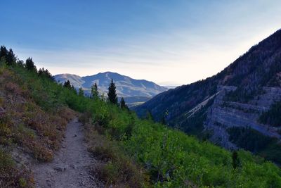 Timpanogos hiking trail landscape views in uinta wasatch cache national forest utah